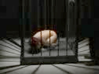 Fucking a Nippon Girl in Public is a XXX Tokyo Experience You Can't Miss!